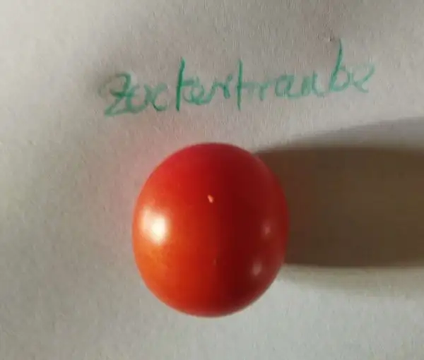 Tomaten: Zuckertraube