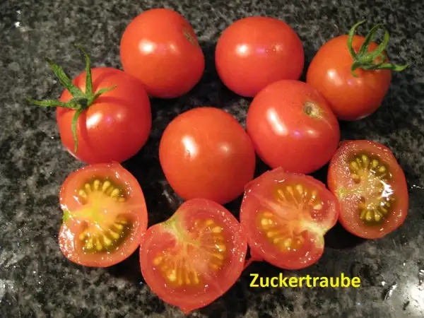 Tomaten: Zuckertraube