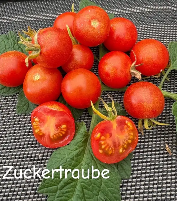 Tomaten: Zuckertraube, so süss wie purer Zucker
